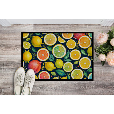 Tapis d'intérieur ou d'extérieur 24 x 36