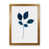 Brown Framed is unavailable