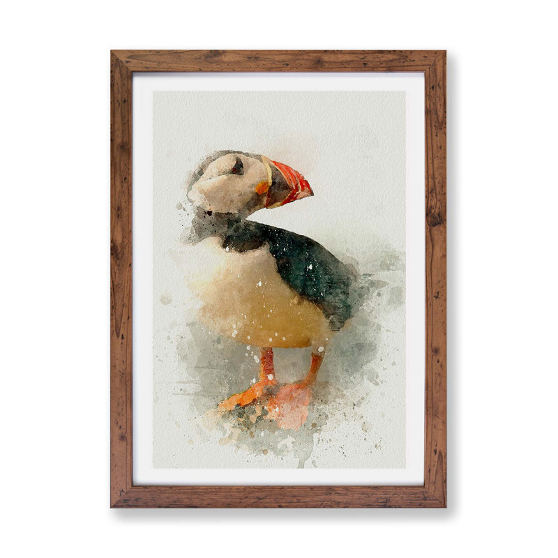 An Atlantic Puffin - Framed Print, 45cm H x 63cm W x 2cm D, Walnut