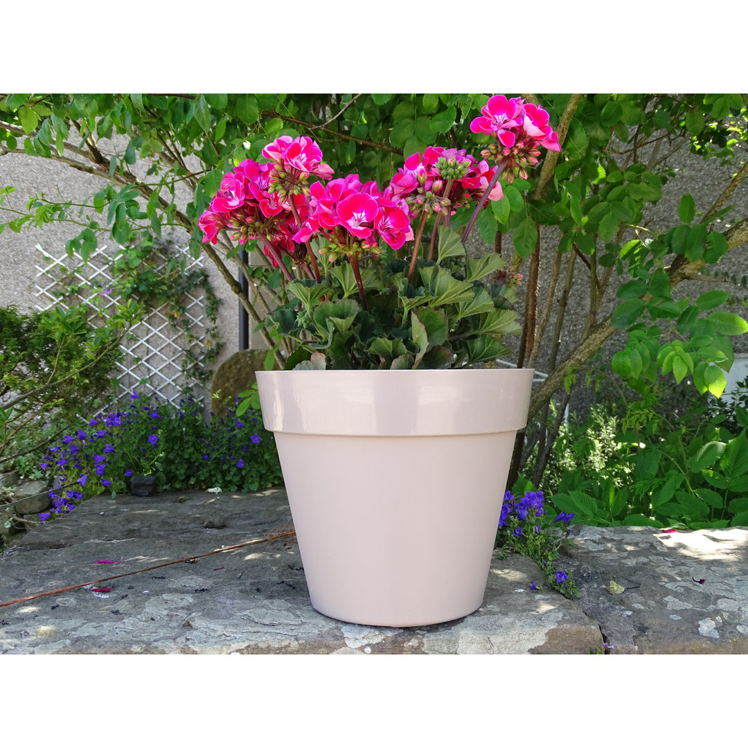 Bojorquez Plastic Plant Pot
