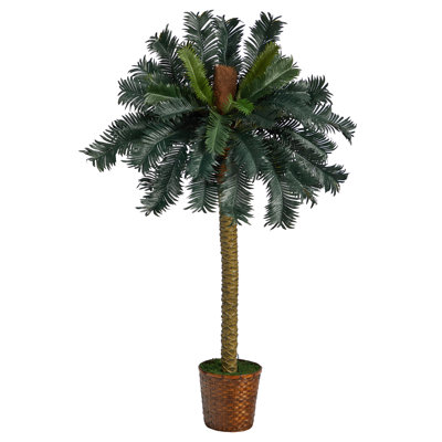 Tree in Basket