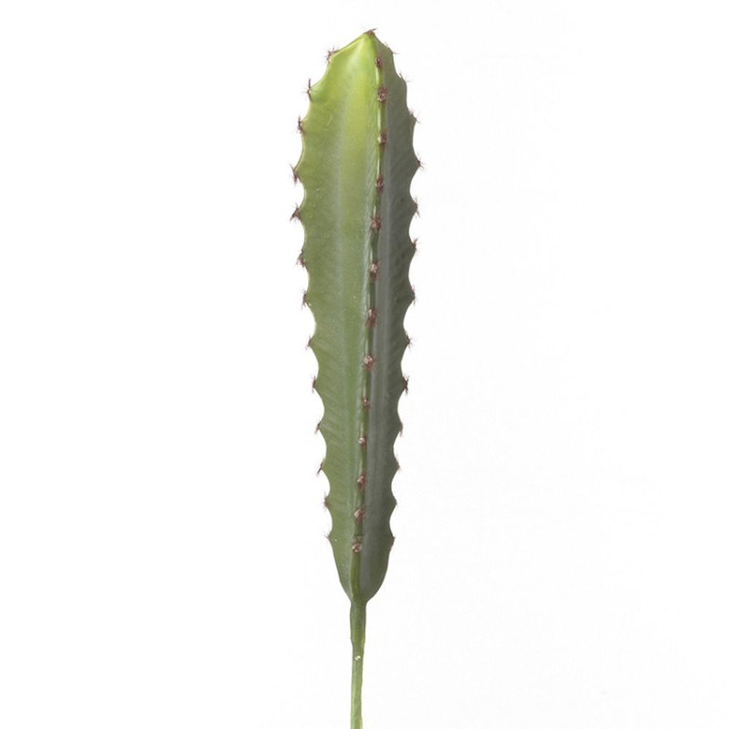 Tige de cactus column