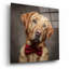 Art mural en verre épique «Labrador Retriever In Bowtie» par Rich Monet, 12 po x 12 po