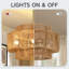 4 - Light Chandelier