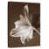 Tulipe Harnek Moonglow
