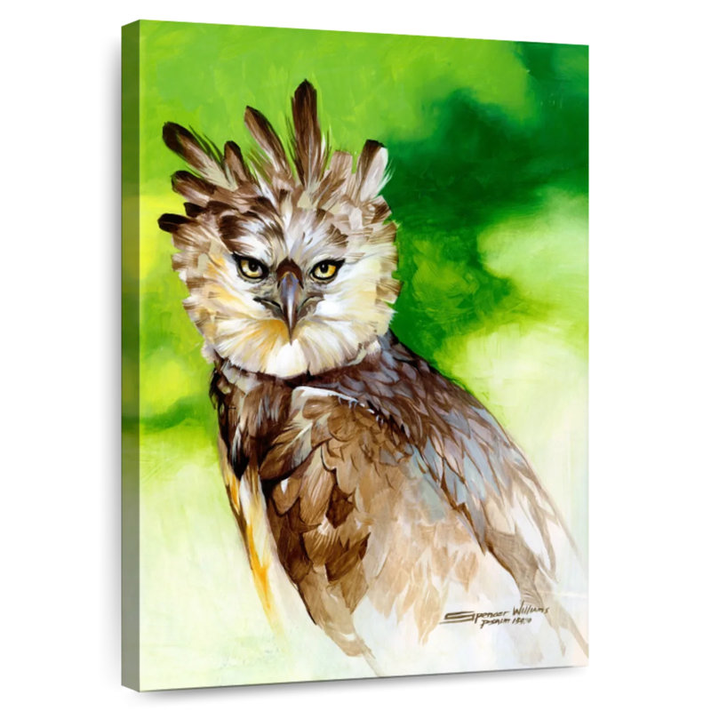 Brampt Harpy Eagle, 24" H x 16" W
