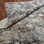 Area Rug in Gray-1689043165
