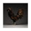 «Gold Laced French» par Chicken - photographie sur toile tendue