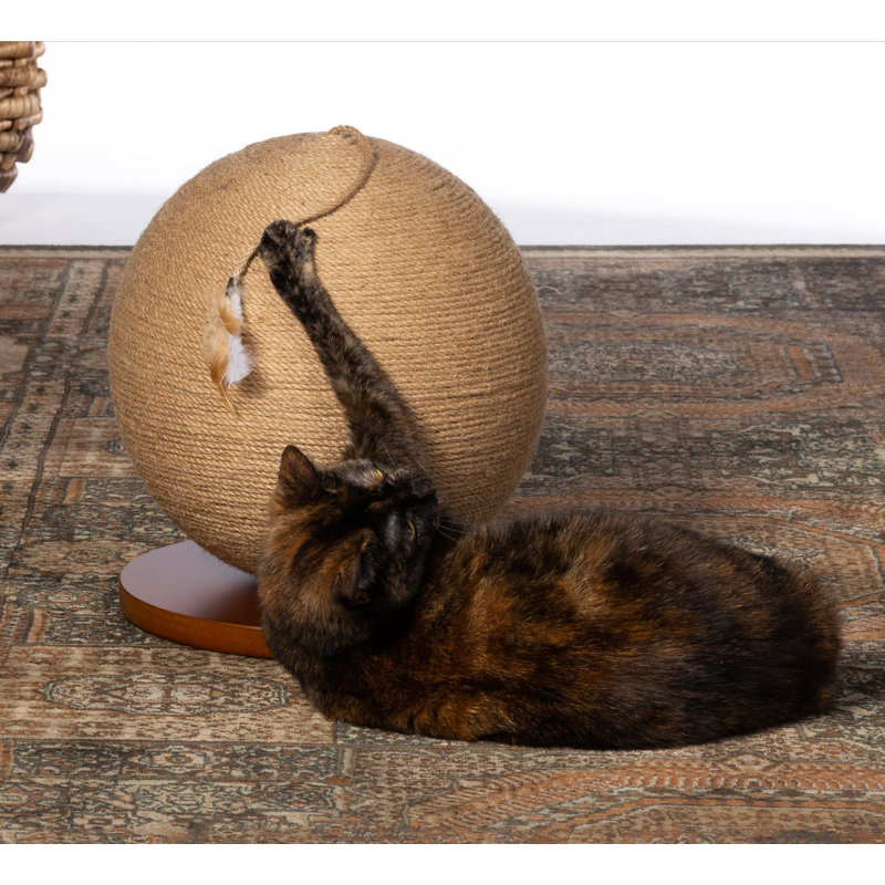 Borrego Scratching Sphere