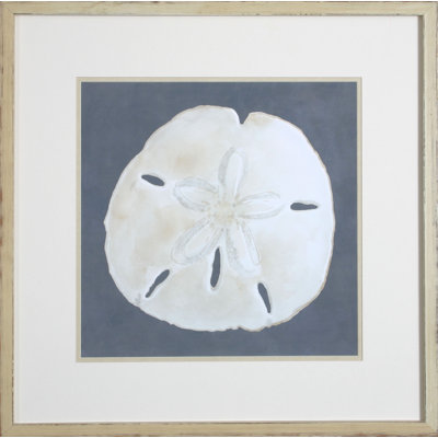 Shell On Slate II Print by Meagher