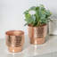 Handmade Pot Planter-1770618499