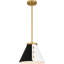 Danyall 1-Light Brushed Weathered Brass Pendant Light