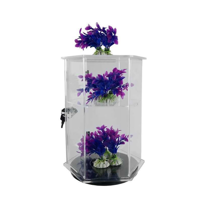 FixtureDisplays® - Armoire vitrée en acrylique transparent avec plexiglas et étagère hexagonale pour objets de valeur - hauteur 12 po - 18621