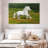 Shire Horse In The Meadow