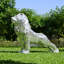 Statue de lion avec diamant en miroir Exterio-1133372476