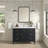 Lorelai 48'' Single Bathroom Vanity with Top-98545223-98545224-98619334