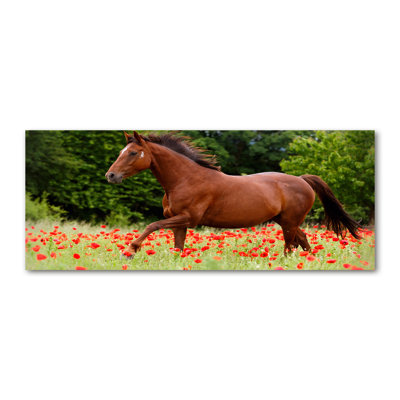 Horse On The Poppy Field - Wrapped Canvas Print
