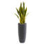 Sansevieria, plante serpent artificielle en pot