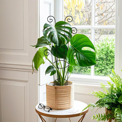 4 Pack 30 Inch Tall Metal Plant Trellis For Climbing Plants Indoor, Rustproof Garden Trellis For Potted Houseplants, Sturdy Support For Ivy, Pothos, Monstera, Hoya And Flower Vines