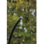 Giguere Garden Patio Swing Chair with Stand-510811678