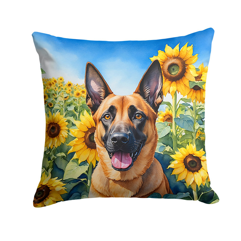 Other/No Pattern Outdoor Throw Pillow, 18" H x 18" W