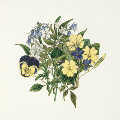 " Pansy Party I " by Wild Apple Portfolio