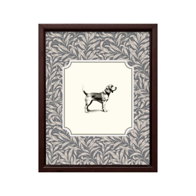 Beagle Dog