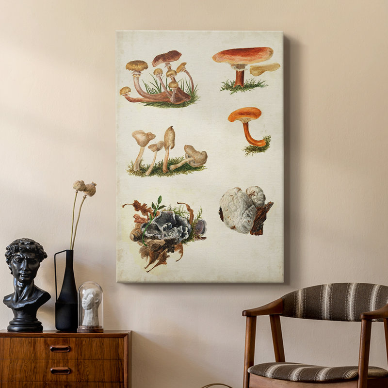 Mushroom Species X - Gallery sur mesure, H 18 po x l 12 po