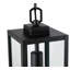 Schlesinger Outdoor Hanging Lantern