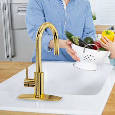 Pull Down Single Handle Kitchen Faucet With Deck Plate, Handles and Supply Lines