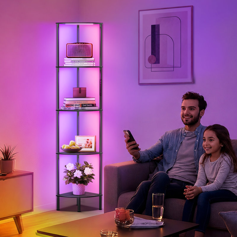 67" Floor Lamp with LED Lights, Touch & Remote Control, 3 Color Temperature, Dimmable Tall Corner Bookcase, Black