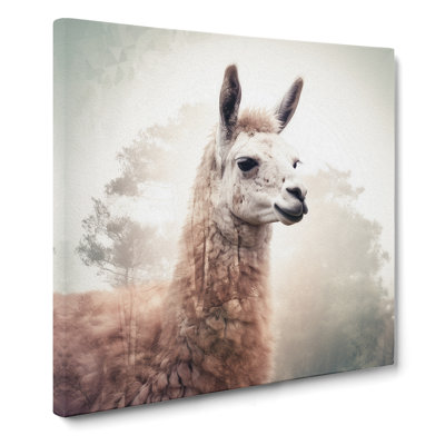 Llama Double Exposure - No Frame Print