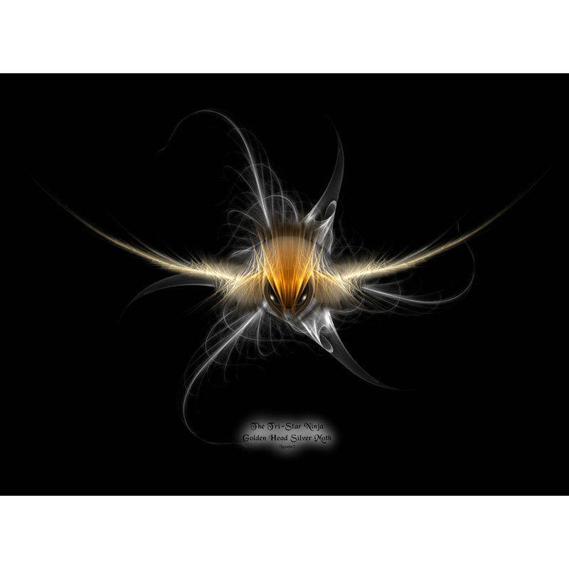 Affiche brillante «Tri-Star Ninja Golden Head Silver Moth», H 18 po x l 24 po