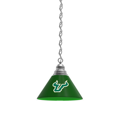 1 - Light Single Pendant