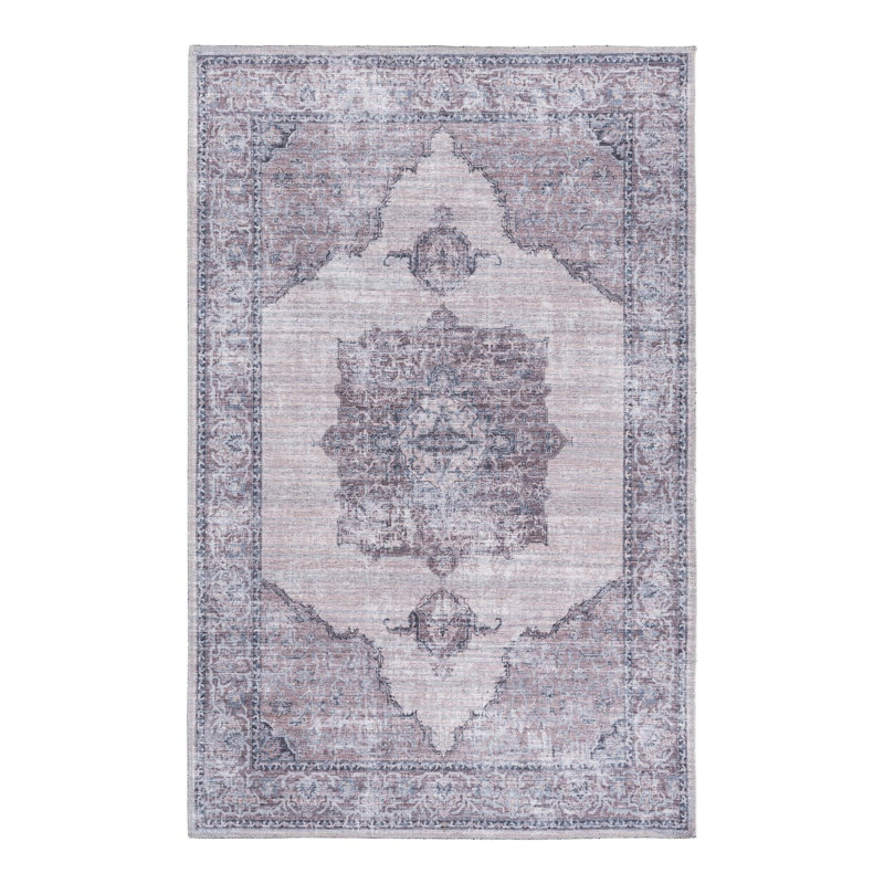 Hazley Chenille Oriental Indoor Rug, Rectangle 2' x 3'