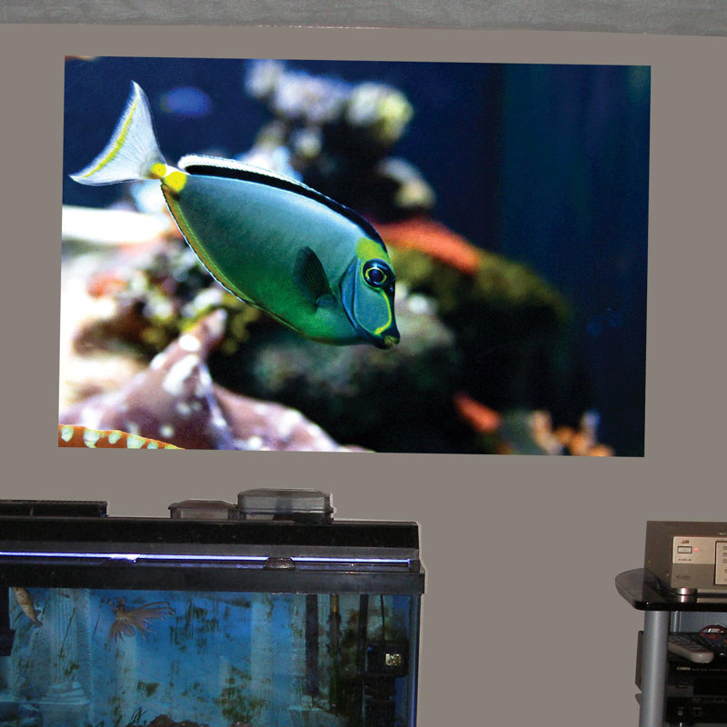 Adhésif décoratif Reef Tang, 16 po x 24 po