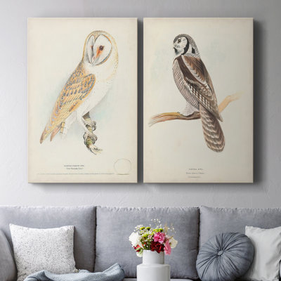 Barn Owl-Premium Gallery Wrapped Canvas -Ready to Hang
