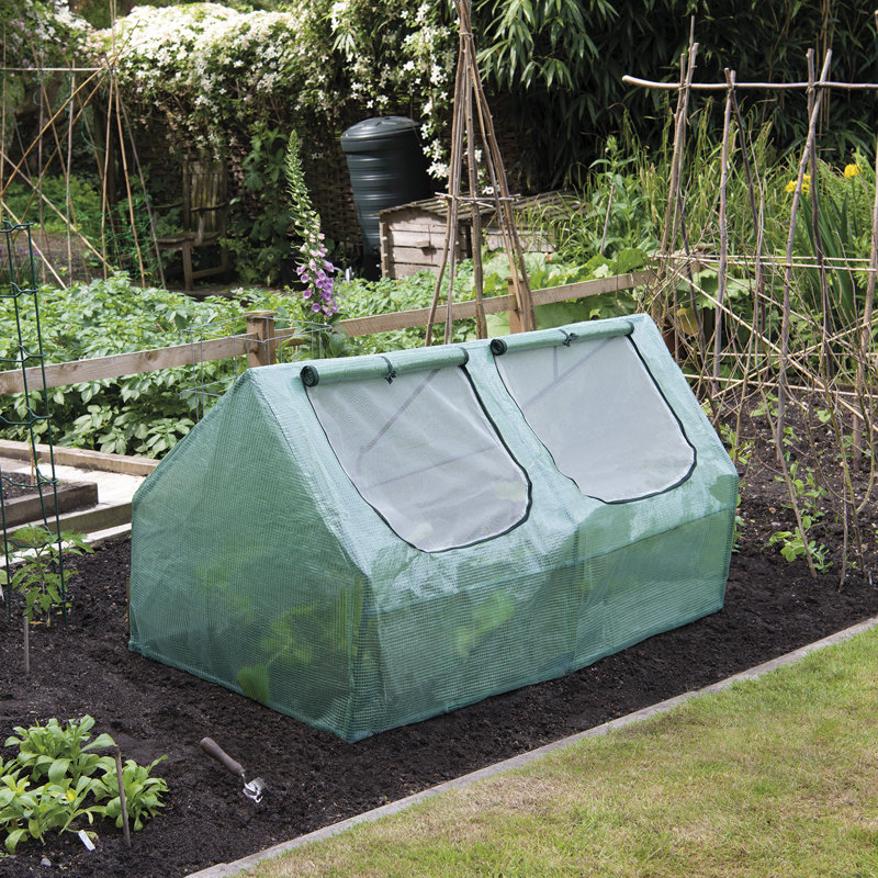 Taulbee 3 Ft W x 5.5 Ft D Mini Greenhouse