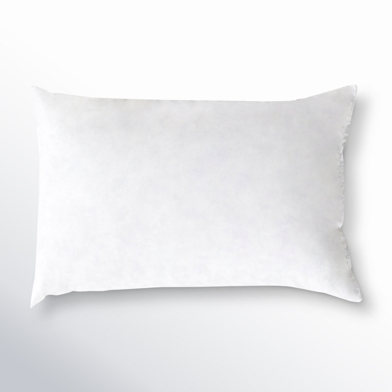 Coussin en duvet de qualité supérieure Steves, 13 po x 20 po