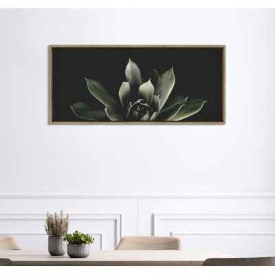 Salutation by Emiko and Mark Franzen F2Images Framed Canvas Wall Art Print