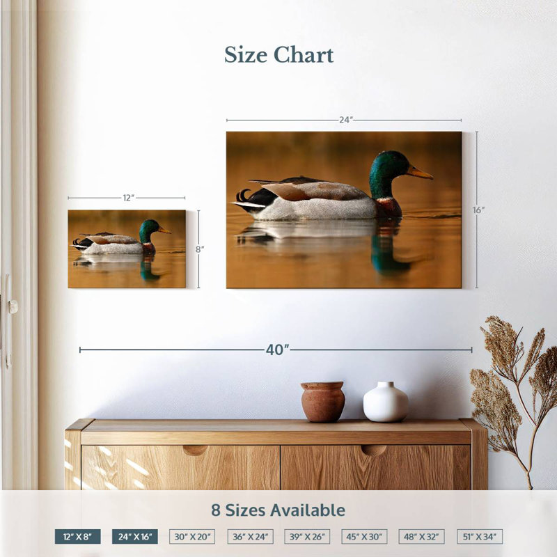Brampt Bathing Mallard Duck, 16" H x 24" W