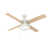 Fresh White/Fresh White & Natural Wood selected