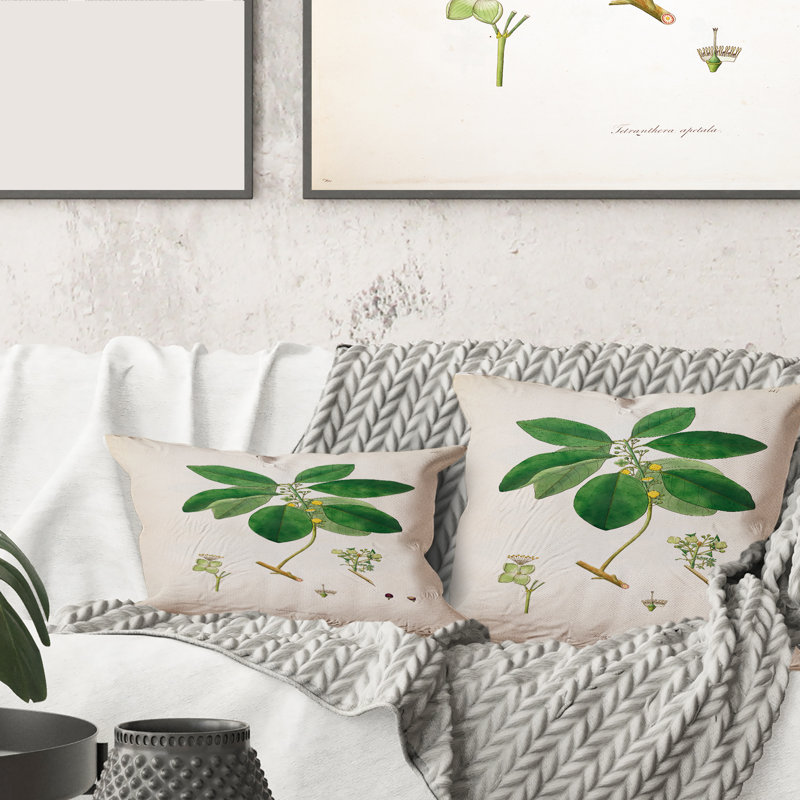 Coussin décoratif rétro Vintage Botanicals V - Farmhouse