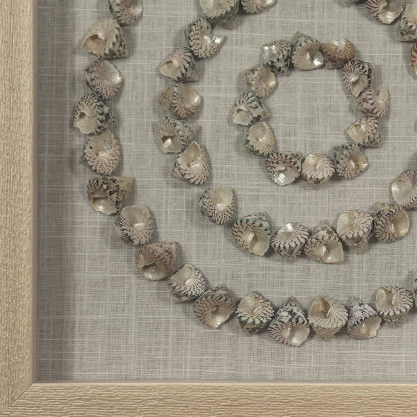 Rosecliff Heights Sea Shell Rings Shadow Box Wall Décor Set & Reviews ...