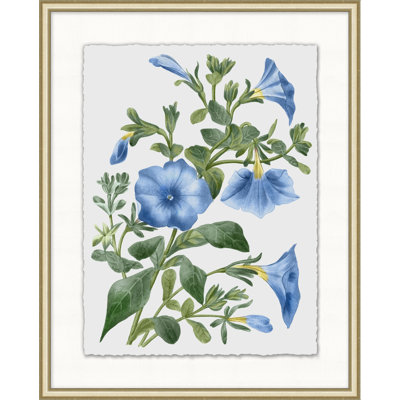 Floral Study 2 Print