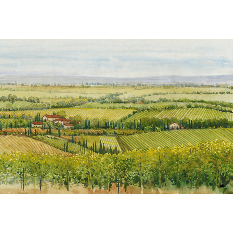 Wine Country View I by Tim OToole - Wrapped Canvas Painting, 30cm H x 46cm W