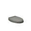Lustra with Quick-Release Hinges Toilet Seat-286980270-342726762