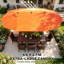 Parasol