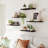 Riek 5 Piece Floating Shelf-847670758-826149873