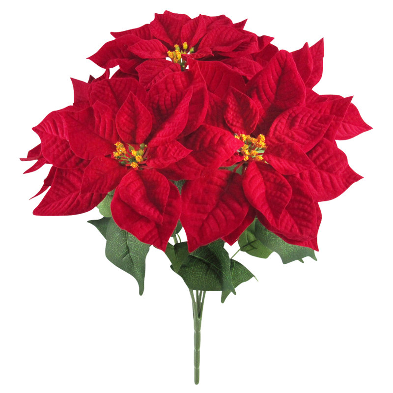 Buissons de poinsettias, H 20 po x l 17 po x P 17 po